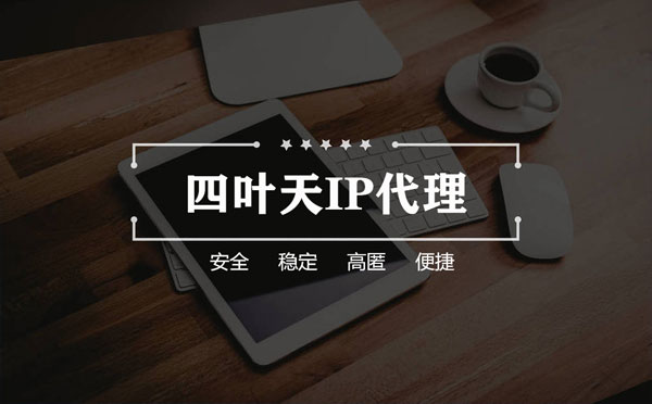 【苏州代理IP】如何快速搭建代理IP？怎么检查代理的效果？